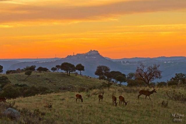 Andújar Alojamiento Rural Dehesa La Estancia מראה חיצוני תמונה
